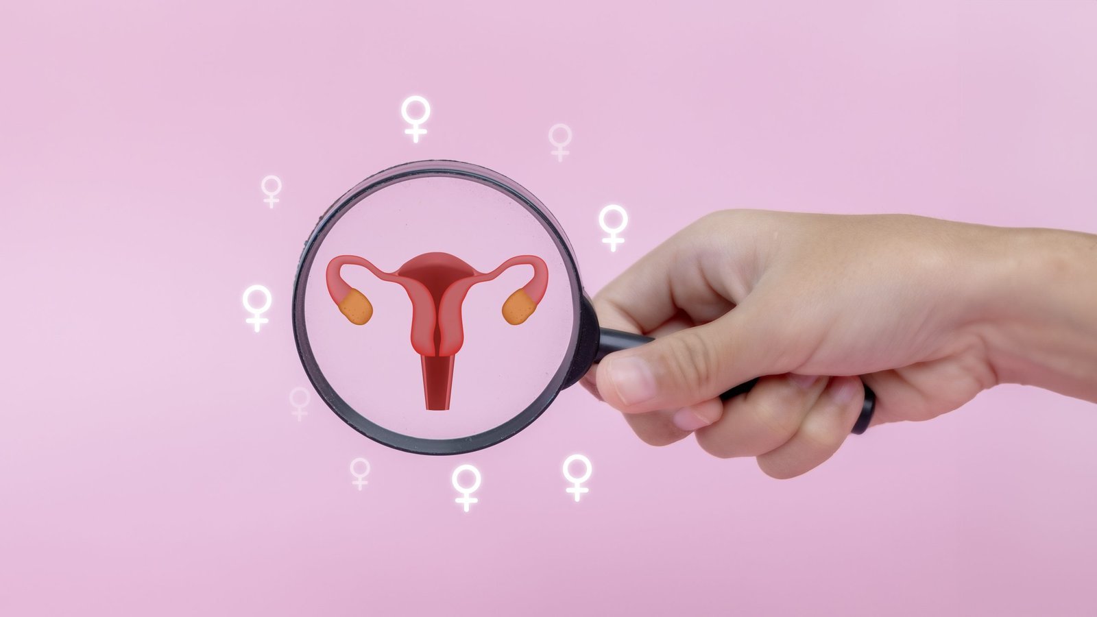 Doctor examining female reproductive system for PCOS, ovarian health, and uterus checkup